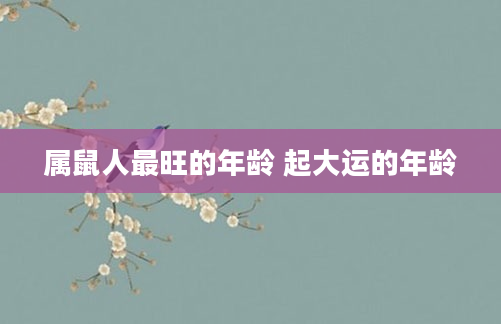 属鼠人最旺的年龄 起大运的年龄