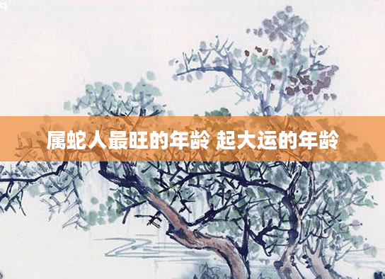 属蛇人最旺的年龄 起大运的年龄