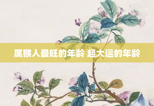 属猴人最旺的年龄 起大运的年龄