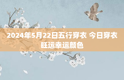 2024年5月22日五行穿衣 今日穿衣旺运幸运颜色