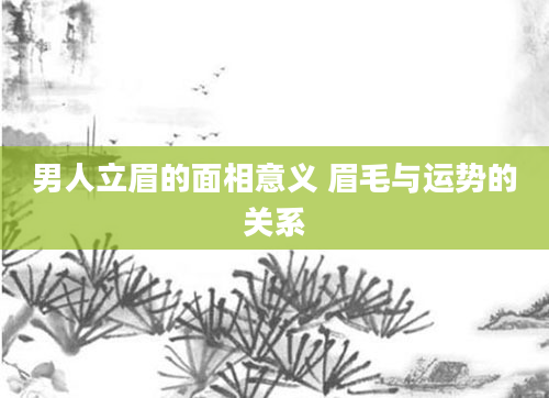 男人立眉的面相意义 眉毛与运势的关系