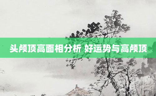 头颅顶高面相分析 好运势与高颅顶