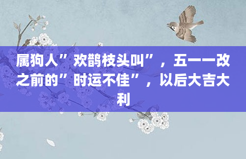 属狗人”欢鹊枝头叫”，五一一改之前的”时运不佳”，以后大吉大利