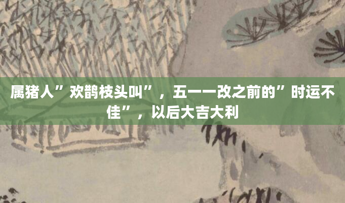 属猪人”欢鹊枝头叫”，五一一改之前的”时运不佳”，以后大吉大利