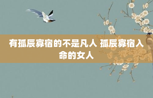 有孤辰寡宿的不是凡人 孤辰寡宿入命的女人