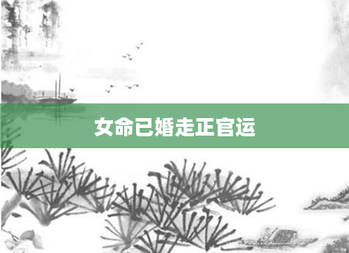 女命已婚走正官运