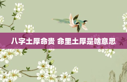 八字土厚命贵 命里土厚是啥意思