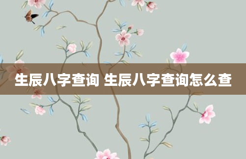 生辰八字查询 生辰八字查询怎么查