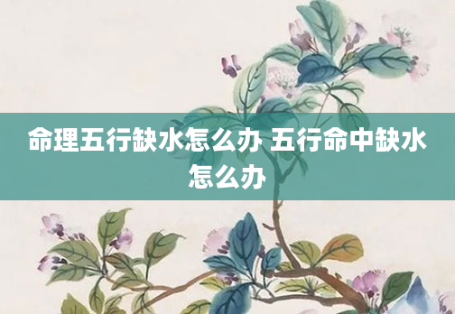 命理五行缺水怎么办 五行命中缺水怎么办