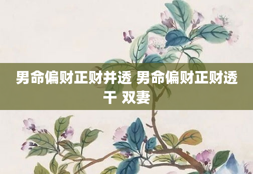 男命偏财正财并透 男命偏财正财透干 双妻