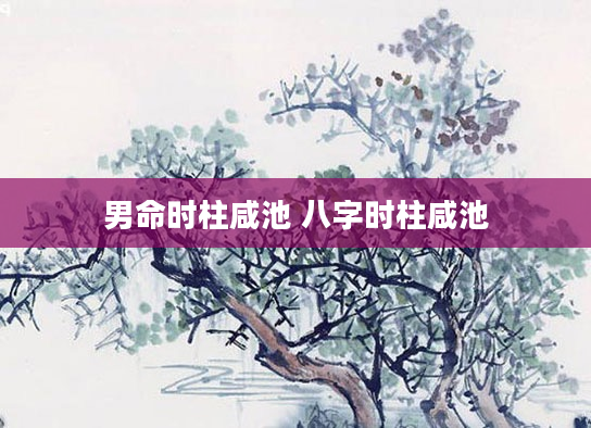 男命时柱咸池 八字时柱咸池