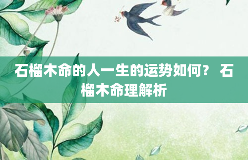石榴木命的人一生的运势如何？ 石榴木命理解析