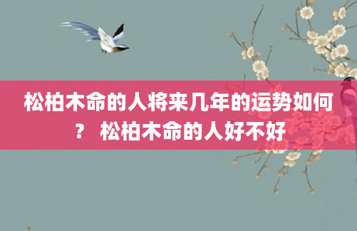 松柏木命的人将来几年的运势如何？ 松柏木命的人好不好