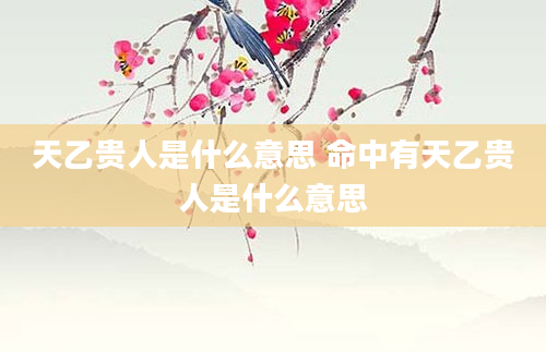 天乙贵人是什么意思 命中有天乙贵人是什么意思