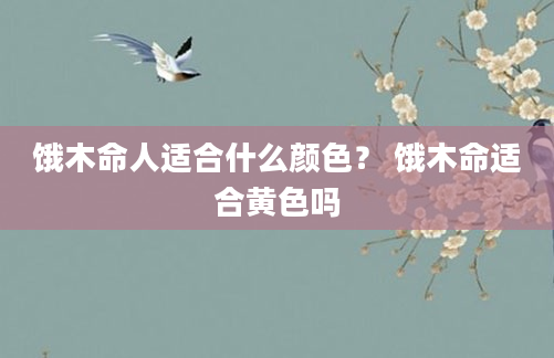 饿木命人适合什么颜色？ 饿木命适合黄色吗