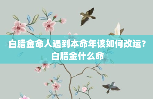 白腊金命人遇到本命年该如何改运？ 白腊金什么命