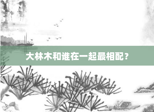 大林木和谁在一起最相配？