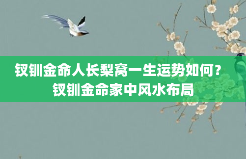 钗钏金命人长梨窝一生运势如何？ 钗钏金命家中风水布局