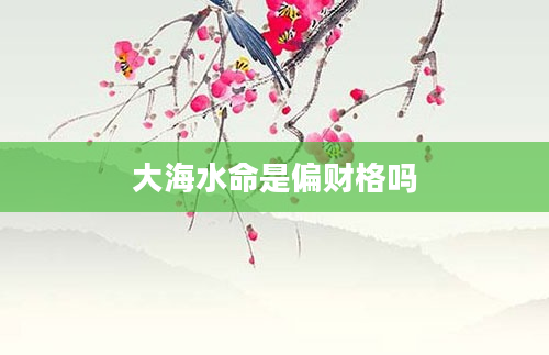 大海水命是偏财格吗