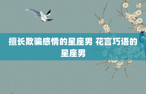 擅长欺骗感情的星座男 花言巧语的星座男