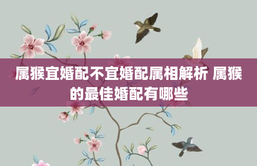 属猴宜婚配不宜婚配属相解析 属猴的最佳婚配有哪些
