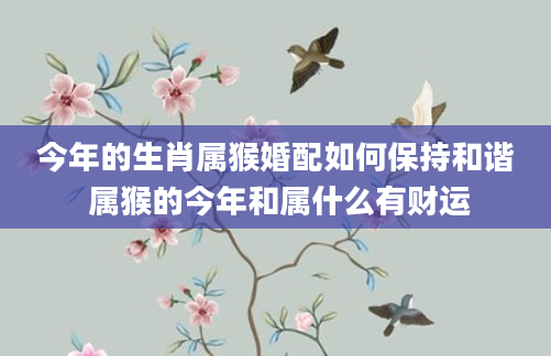 今年的生肖属猴婚配如何保持和谐 属猴的今年和属什么有财运