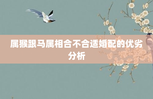 属猴跟马属相合不合适婚配的优劣分析