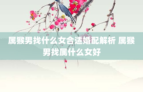 属猴男找什么女合适婚配解析 属猴男找属什么女好