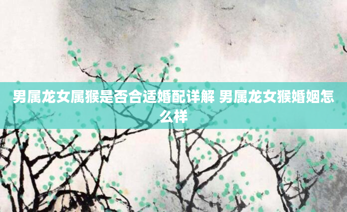 男属龙女属猴是否合适婚配详解 男属龙女猴婚姻怎么样