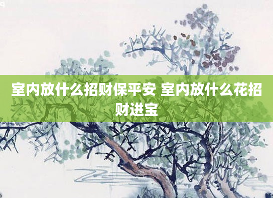 室内放什么招财保平安 室内放什么花招财进宝