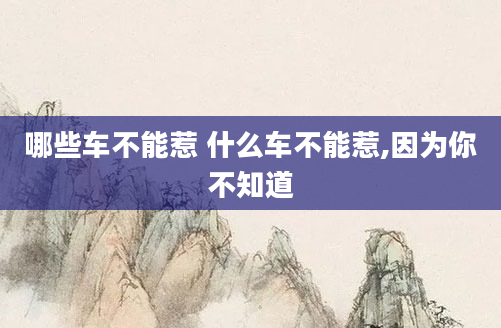 哪些车不能惹 什么车不能惹,因为你不知道