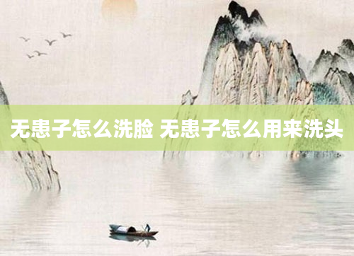 无患子怎么洗脸 无患子怎么用来洗头