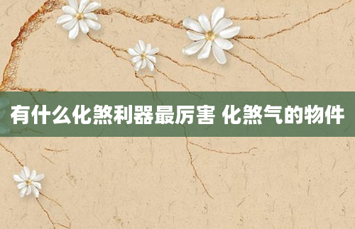 有什么化煞利器最厉害 化煞气的物件