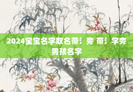 2024宝宝名字取名带氵旁 带氵字旁男孩名字
