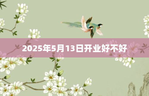 2025年5月13日开业好不好