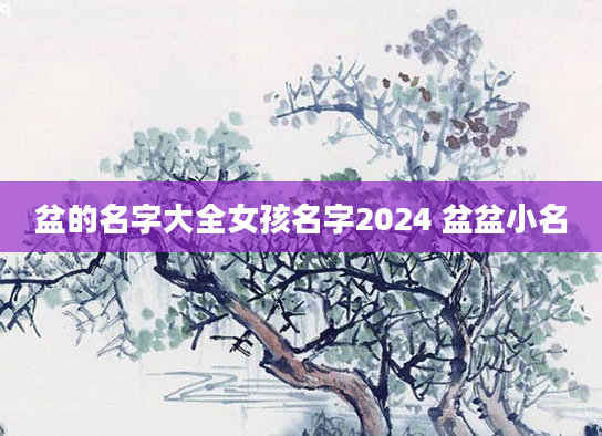 盆的名字大全女孩名字2024 盆盆小名
