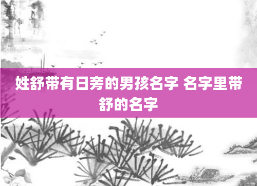 姓舒带有日旁的男孩名字 名字里带舒的名字