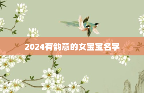 2024有韵意的女宝宝名字