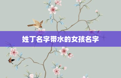 姓丁名字带水的女孩名字