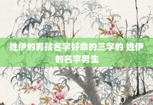 姓伊的男孩名字好命的三字的 姓伊的名字男生