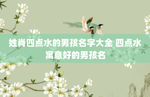 姓肖四点水的男孩名字大全 四点水寓意好的男孩名