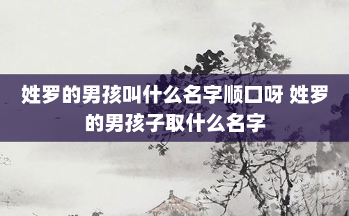 姓罗的男孩叫什么名字顺口呀 姓罗的男孩子取什么名字