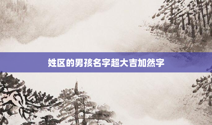 姓区的男孩名字超大吉加然字