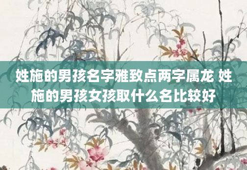 姓施的男孩名字雅致点两字属龙 姓施的男孩女孩取什么名比较好
