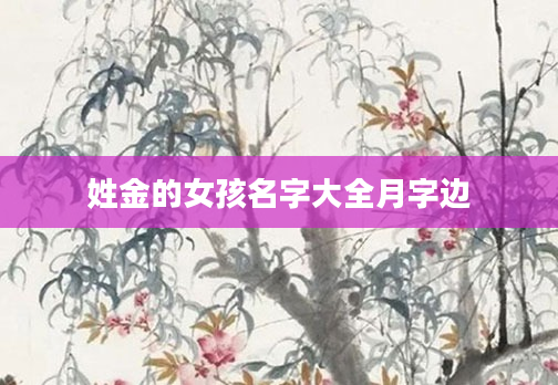 姓金的女孩名字大全月字边