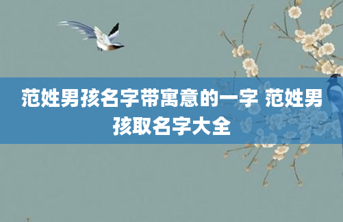 范姓男孩名字带寓意的一字 范姓男孩取名字大全