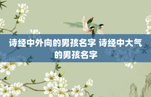 诗经中外向的男孩名字 诗经中大气的男孩名字