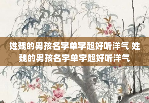 姓魏的男孩名字单字超好听洋气 姓魏的男孩名字单字超好听洋气