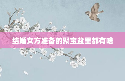 结婚女方准备的聚宝盆里都有啥