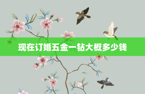 现在订婚五金一钻大概多少钱